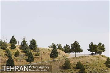 بوستان جنگلی کوهسار 22