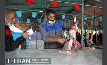 مرکز عرضه دام بهداشتی به مناسبت عید قربان در منطقه 14