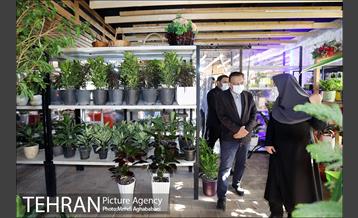 بازدید رییس سازمان بازرسی از  پروژه های منطقه هشت 7