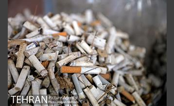 طرح پاکسازی پارک شهر تهران از فیلترهای سیگار  6