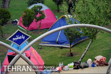 روز طبیعت بارانی در بوستان ولایت 5