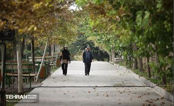 طبیعت پاییزی باغ راه فدک تهران 12