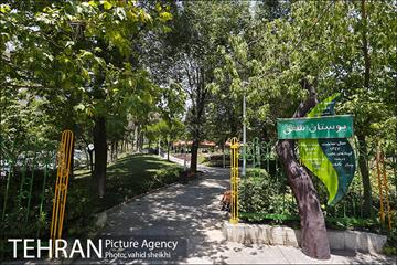 بوستان شفق 29
