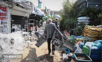 بازار گل شهید محلاتی در آخرین روزهاى سال 22