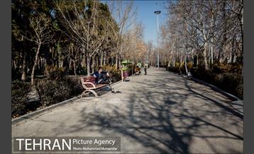روزهای آفتابی پارک لاله 12