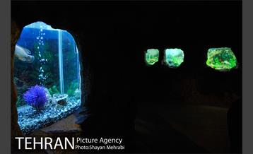 موزه حیات وحش هفت چنار 48