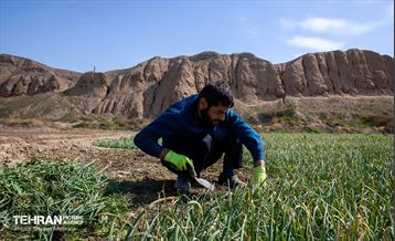 قلعه گبری 34