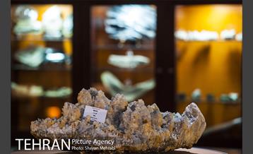 موزه علوم زمین 6