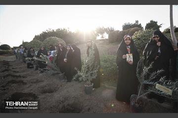 کاشت نهال به یاد شهدا در برج میلاد 6