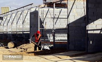 اینجا کارگاهه؛ بازار پرندگان خلیج فارس 13