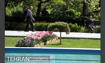 لاله های بهاری پارک شهر 12