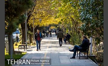 روزهای پاییزی کشاورز 1