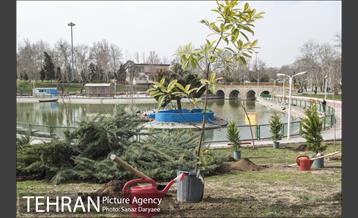 درختکاری و لانه گذاری کبوتر در بوستان بعثت 1