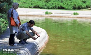 طبیعت بهاری در باغ ملی گیاهشناسی ایران 5