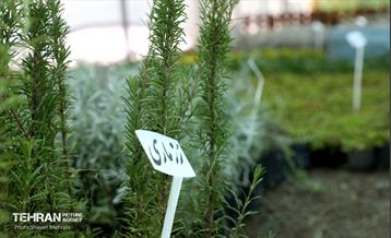 افتتاح پروژه‌های منطقه ۱۴ 23