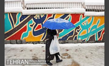 بارش برف در تجریش 11