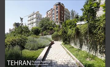 بوستان تندرستی 14