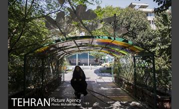 بلوار کشاورز 1