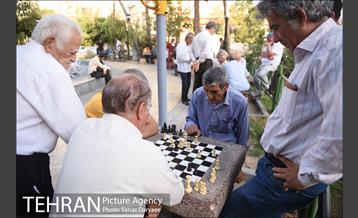 بعدازظهر تابستانی در میدان نبوت (هفت حوض) 4