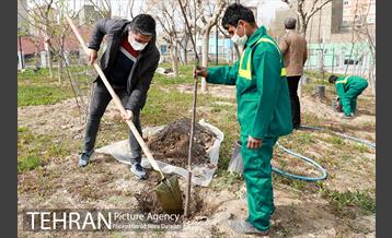 آیین درختکارى خبرنگاران در بوستان زندگى 9