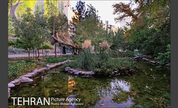 بوستان سهند 17