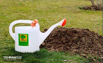 غرس ۱۱۰۰ نهال در منطقه ۱۱ 12