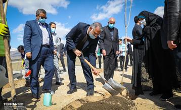 نهال کاری شهردار تهران و رئیس جمهور به مناسبت روز درختکاری 19