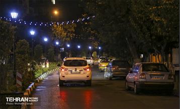 رفیوژ های همیشه سبز 1