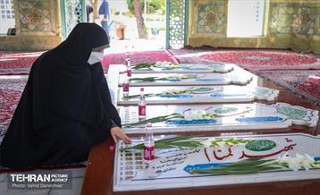 بازدید نرگس معدنی پور از منطقه 17