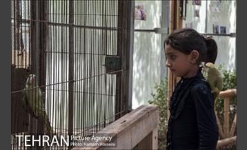 باغ پرندگان تهران 25