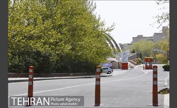 روز طبیعت متفاوت در شهر تهران 2 4