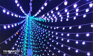 بهار در منطقه 18 5