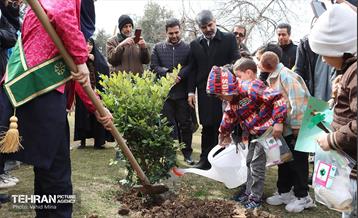 غرس ۱۱۰۰ نهال در منطقه ۱۱ 3