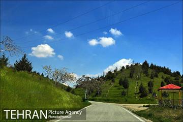 فصل بهار در بوستان های منطقه 4 13