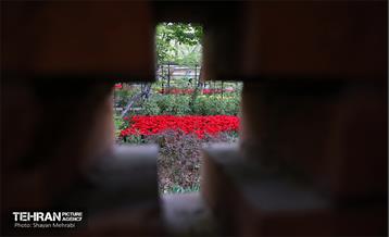 تور عکاسی از باغ ایرانی 9