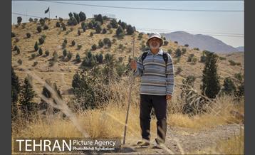 بوستان سرخه حصار 6