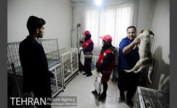 آغاز طرح پایش وسایل گرمایشی بافت های فرسوده شرق پایتخت 10