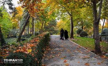 سمفونی رنگ های پاییزی - پارک ملت 23