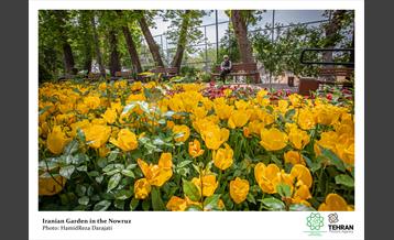 Nowruz In Tehran 39