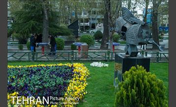 روز طبیعت بارانی در بوستان ملت 20