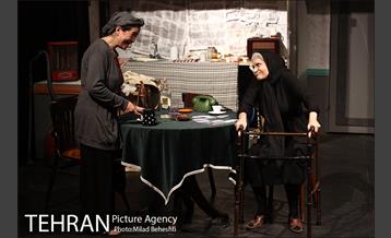 نمایش اثر پرتوهای گاما بر گل های همیشه بهار 10