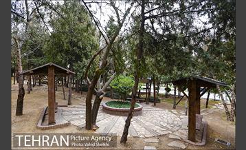 باغ راه فدک 12