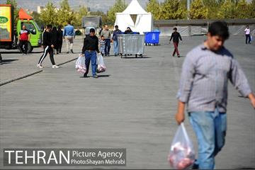 شانزدهمین نمایشگاه فرهنگی عطر سیب 26