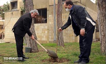 کاشت درخت توسط هنرمندان در فرهنگسرای نیاوران 8