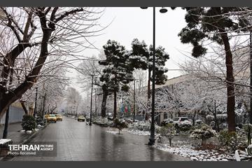 روز برفی تهران - 3 44
