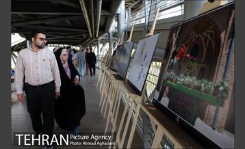 نمایشگاه “طبیعت تهران” بر روی پل طبیعت 22