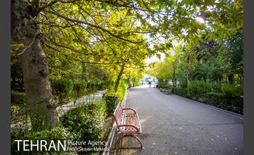 پاییز بوستان لاله 28