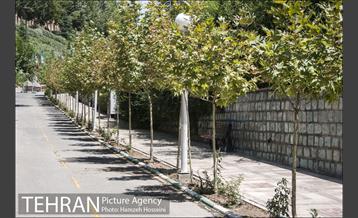 بوستان نهج البلاغه 3