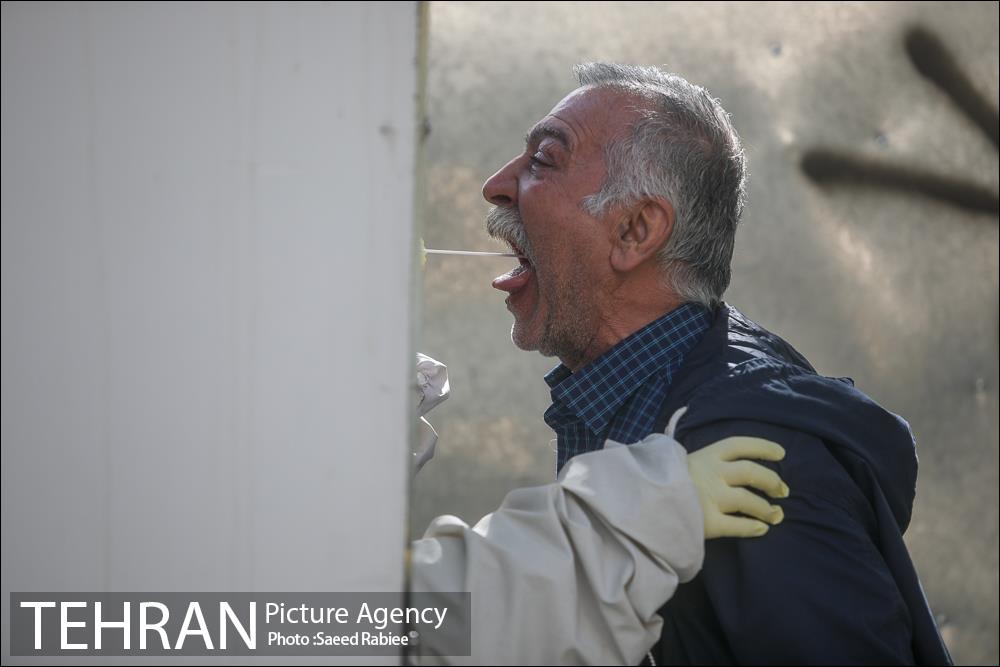 انجام تست رایگان PCR توسط شهرداری تهران 15