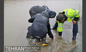 بازدید مدیران شهری از لایروبی و رسوب زدایی شبکه جمع آوری آبهای سطحی 16
